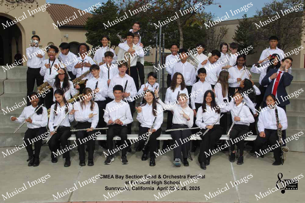 Musical Images